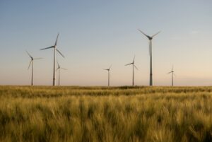 Wind turbines in a grassy field at sunset.