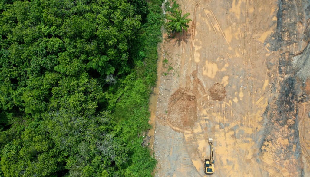 birds eye view where half of the image is a forest and the other half shows where deforestation has occurred and all of the trees have gone