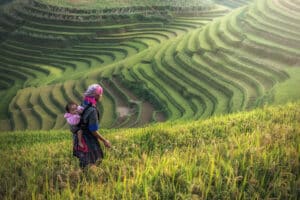 mother and child working at a rice field