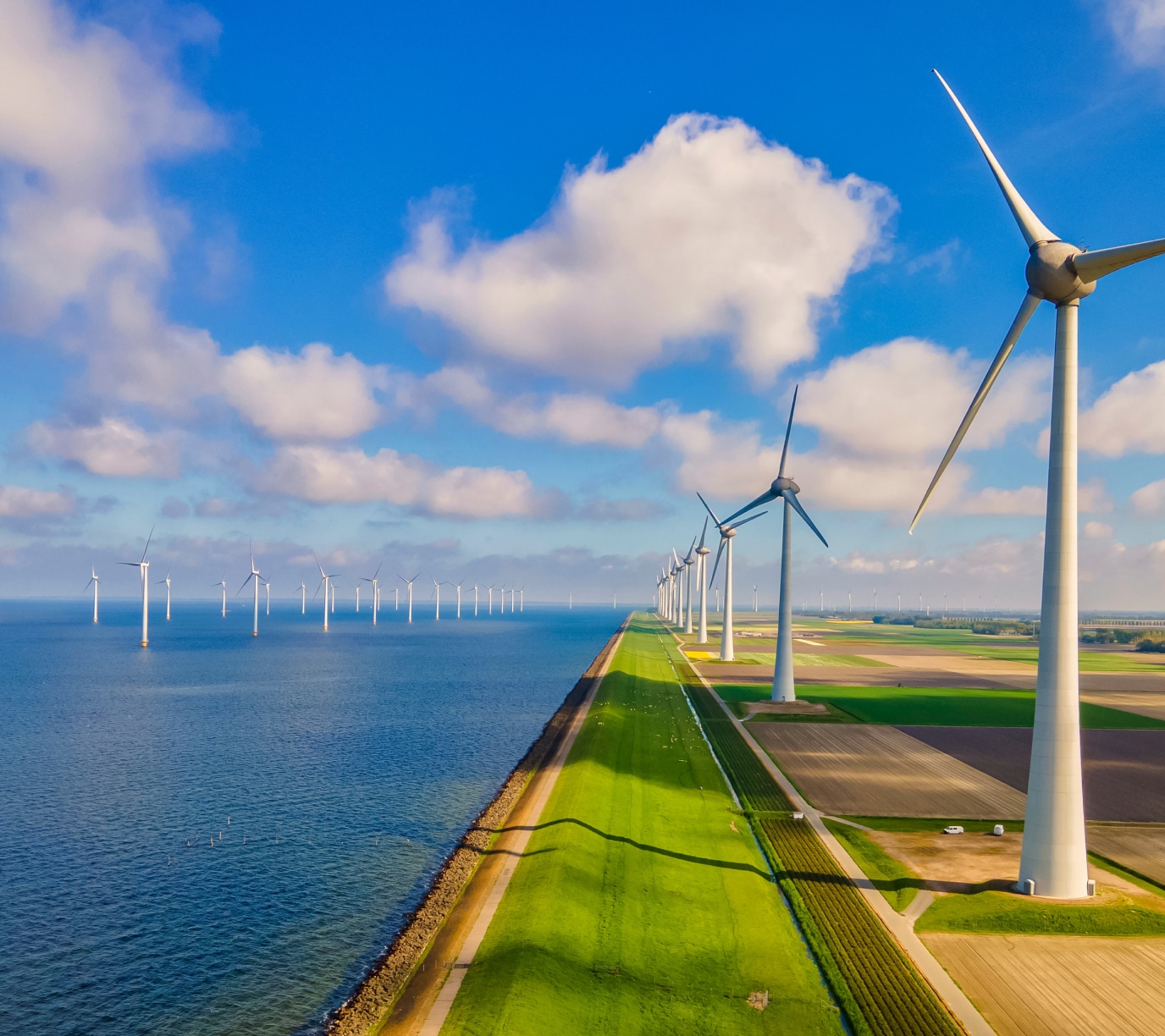 wind farm