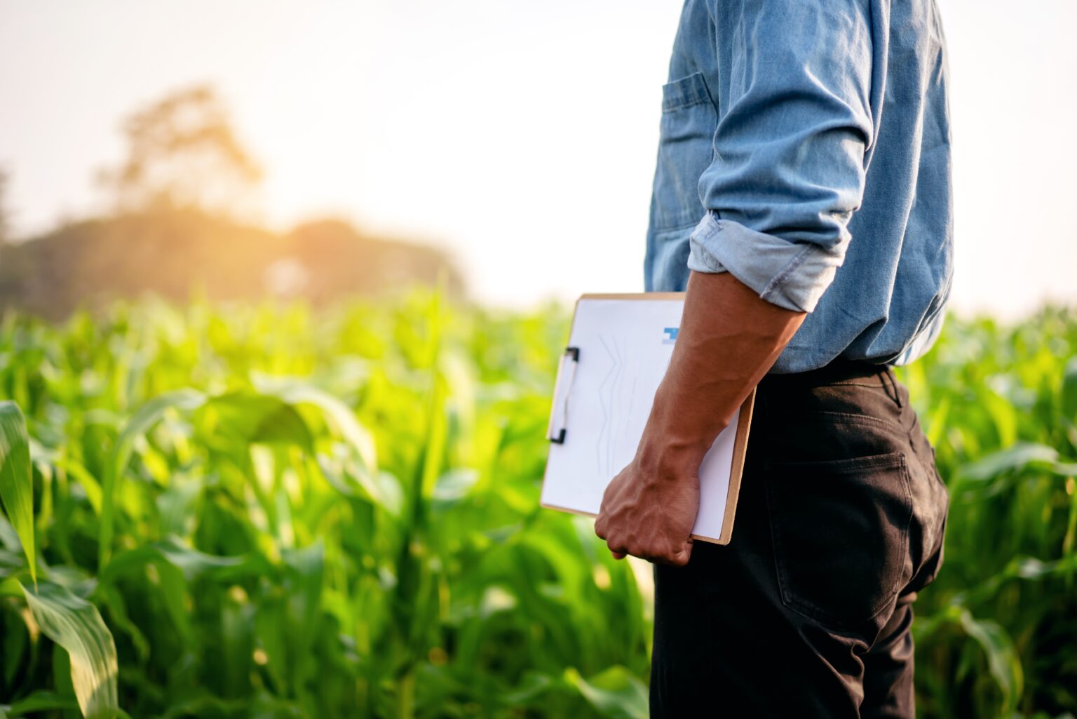 Person holding clipboard in a green field