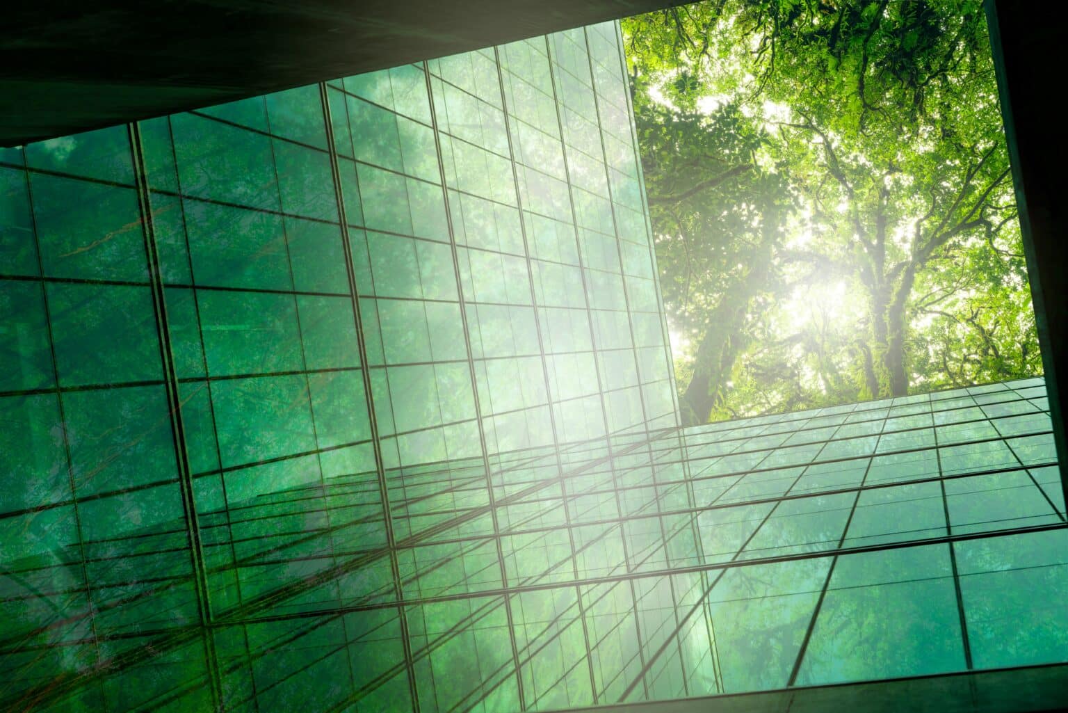 Eco-friendly,Building,In,Modern,City.,Sustainable,Glass,Office,Building,With