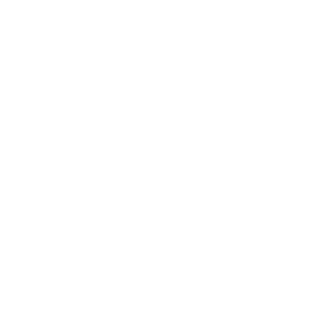 Shield with checklists and magnifying glass icon.