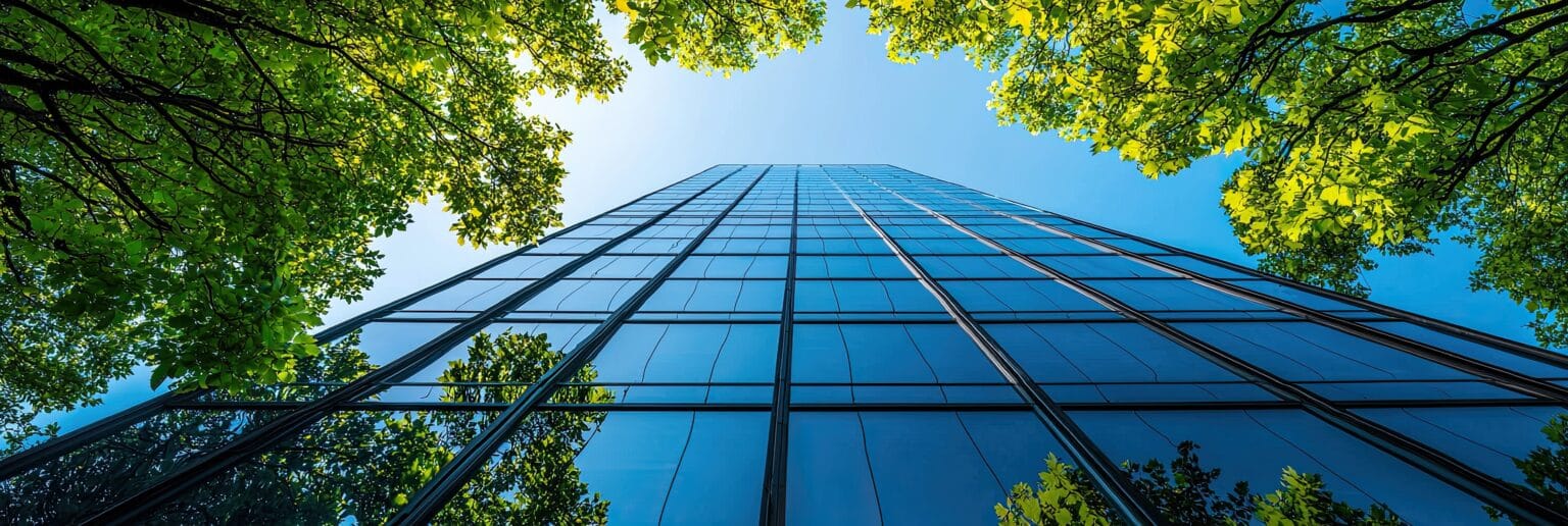 Skyscraper framed by green leaves and blue sky.