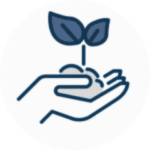 Hand nurturing a small plant sprouting