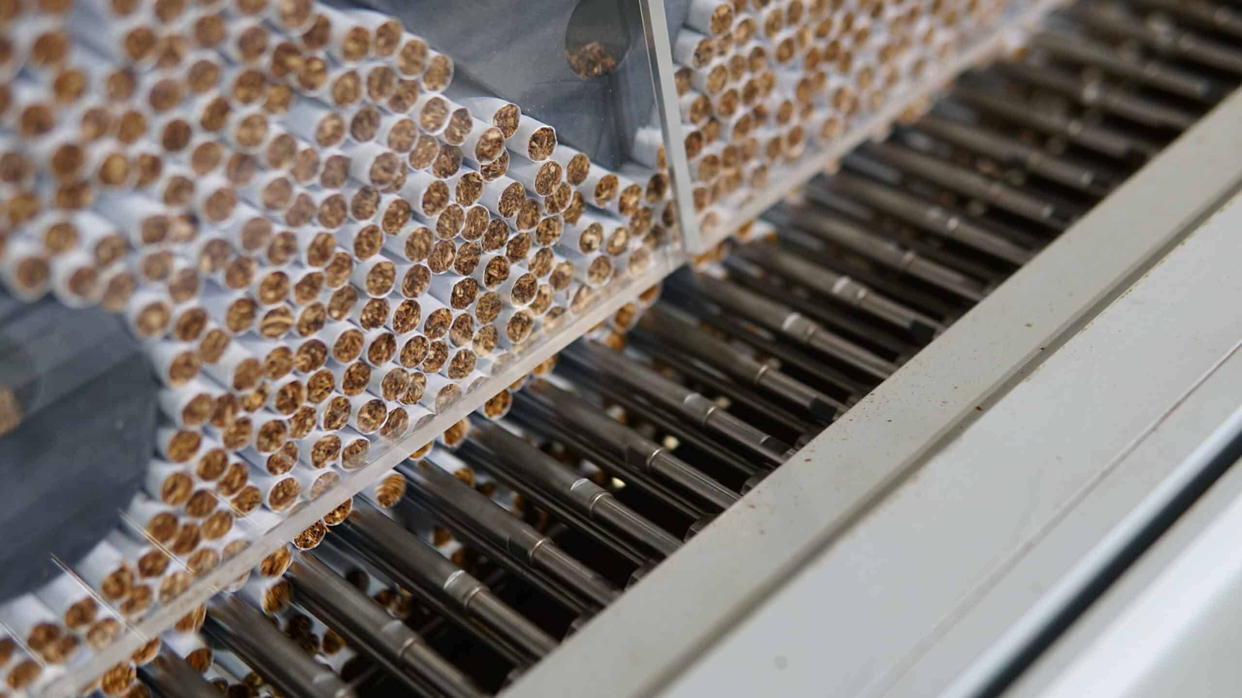 Close-up of tobacco-filled cigarette tubes in machine.