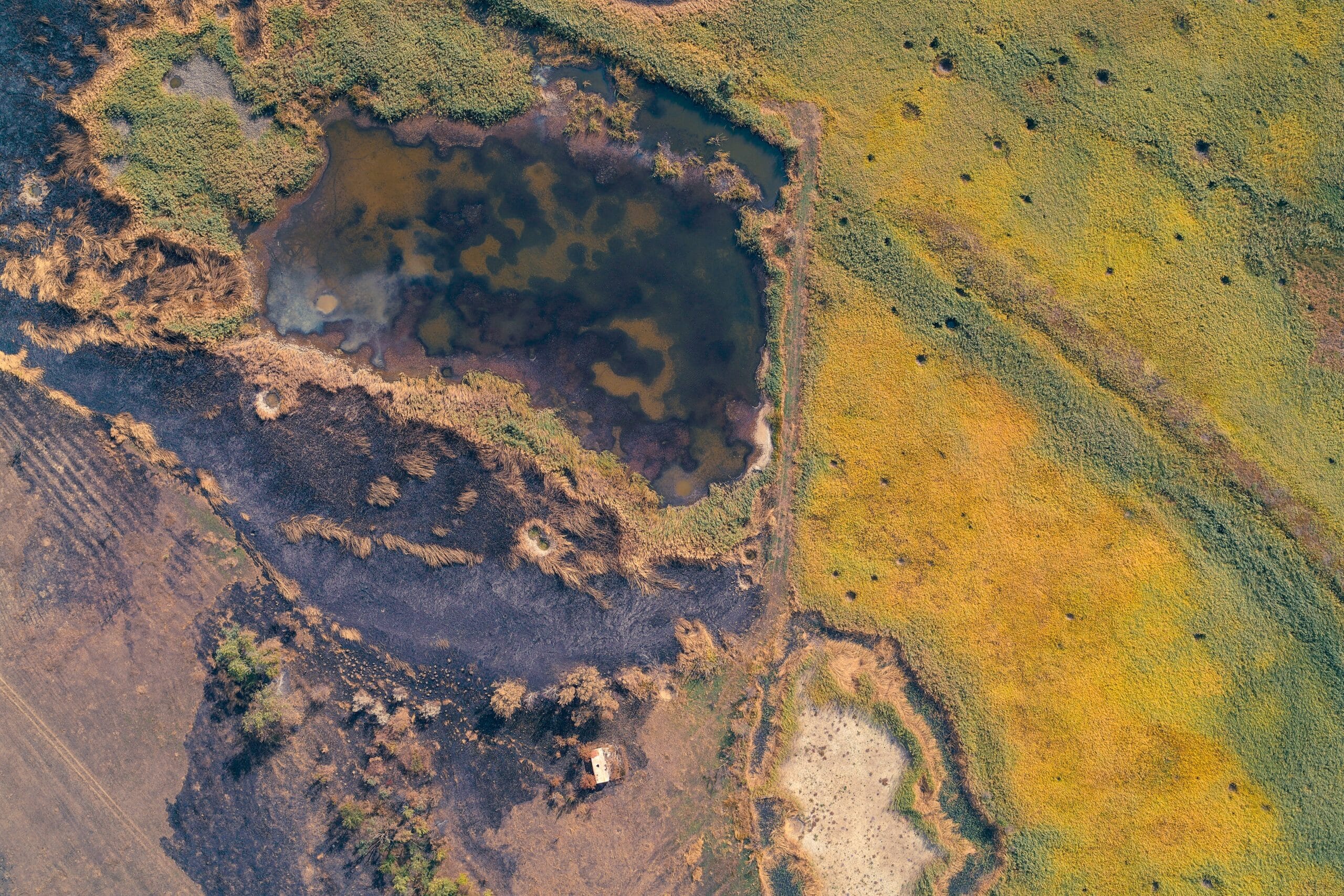 Aerial view of pond in rural farmland
