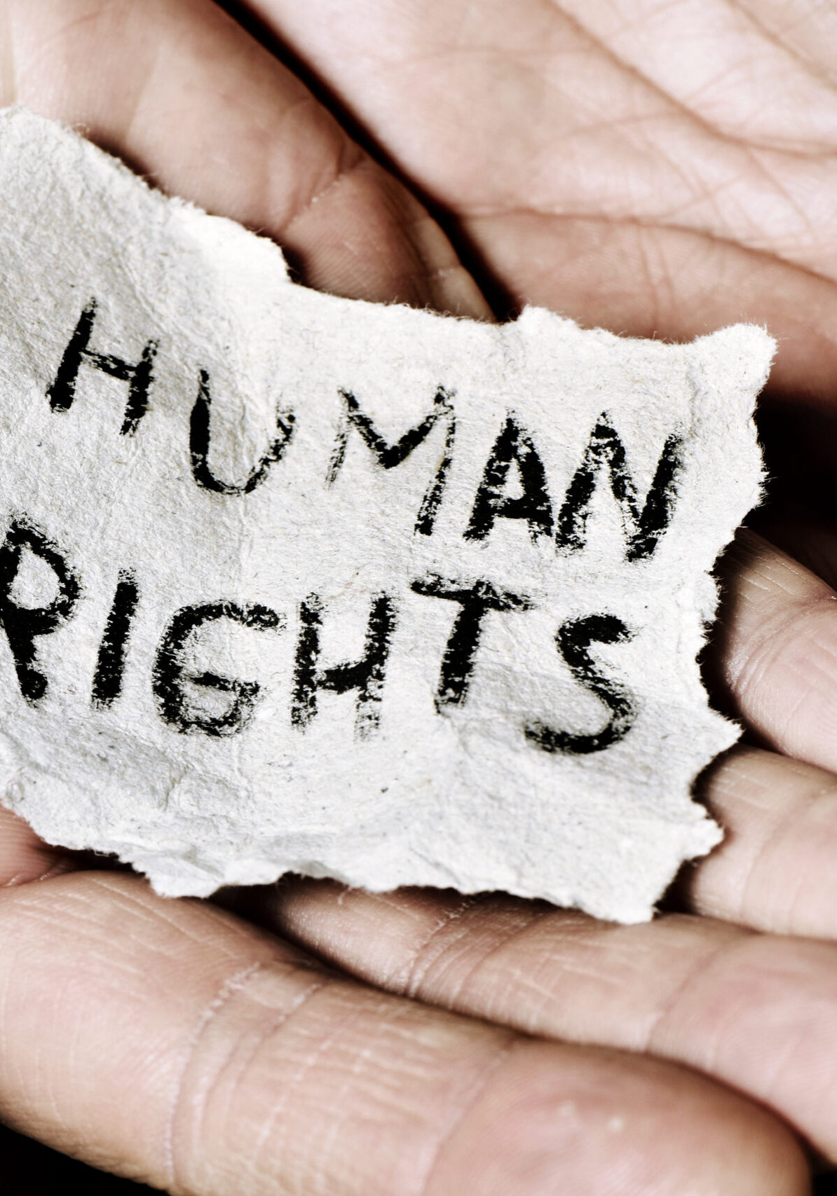 Ensuring businesses have the correct policies and procedures in place to identify and prevent human rights issues