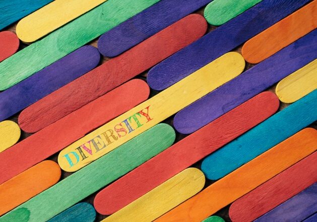 multicoloured wooden sticks where one has the word 'diversity' printed on it