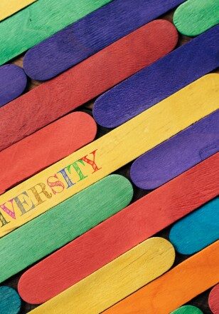 multicoloured wooden sticks where one has the word 'diversity' printed on it